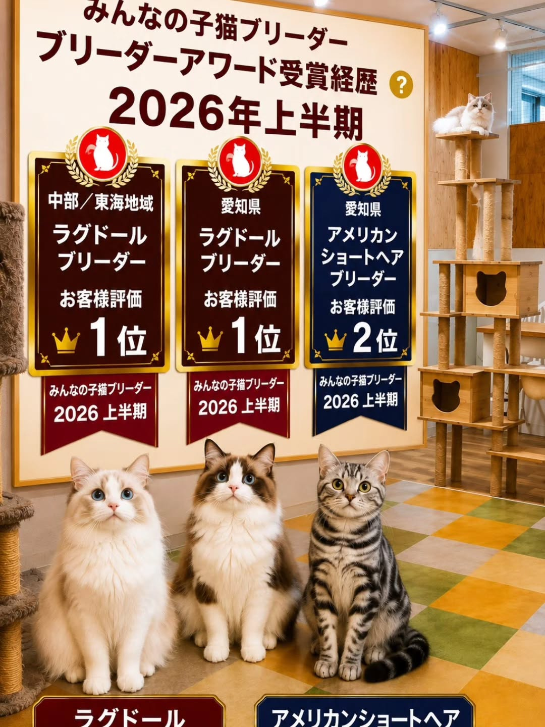 🐾ご報告🐾