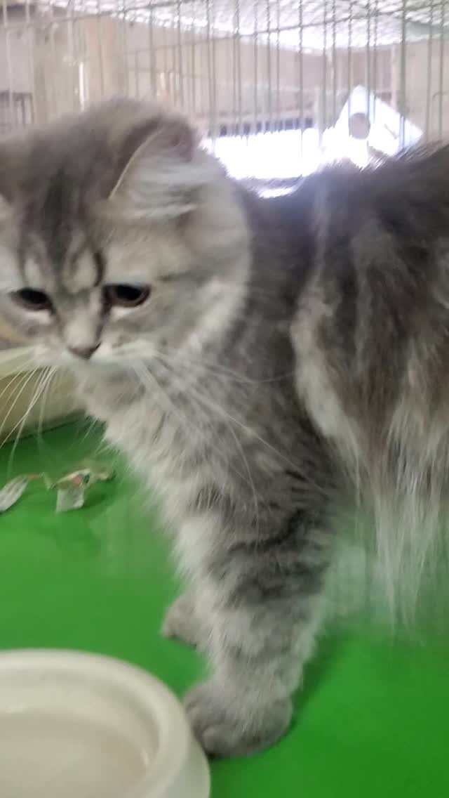 足取りはまだフラフラ…でも前に進む気持ちはまっすぐ✨