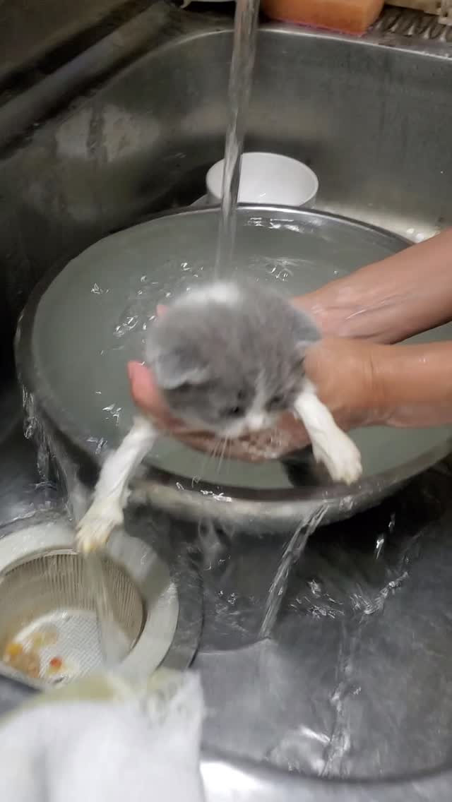 初めてのお風呂タイム🛁
