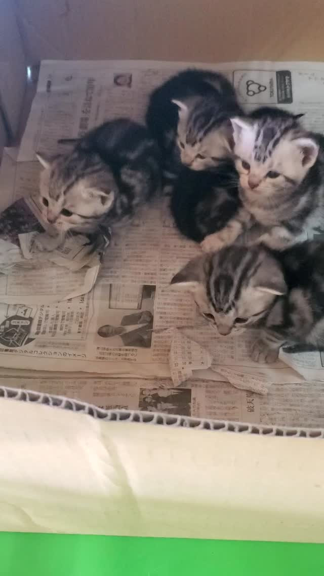 ふわふわころころ💓