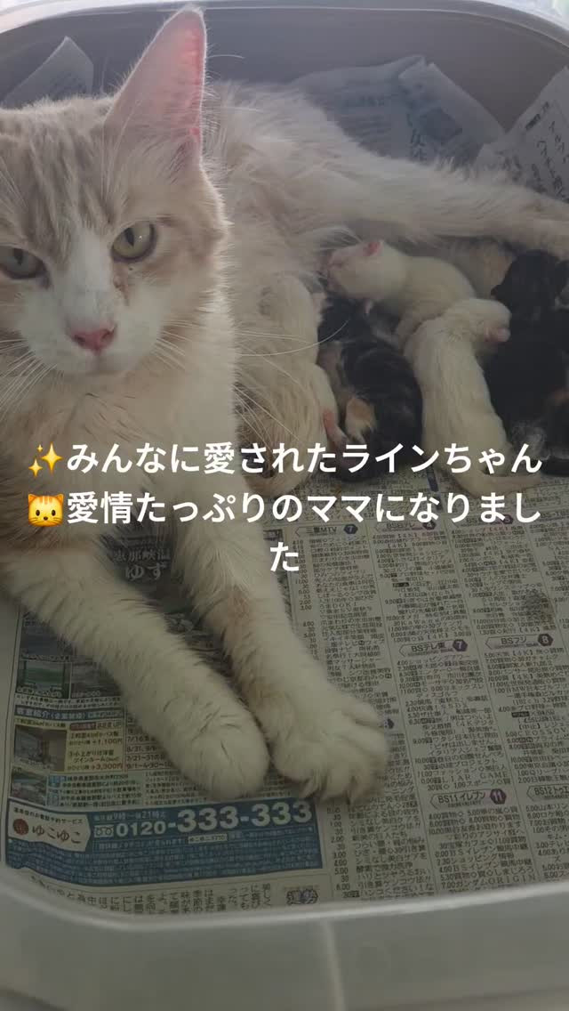 🐾✨嬉しいご報告✨🐾