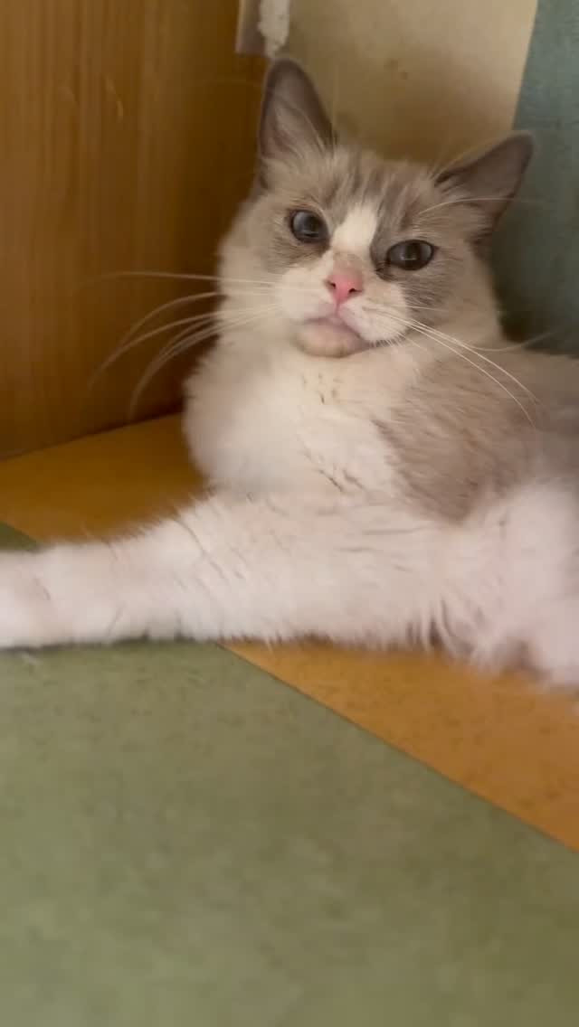 🎉おかえりなさい🤍