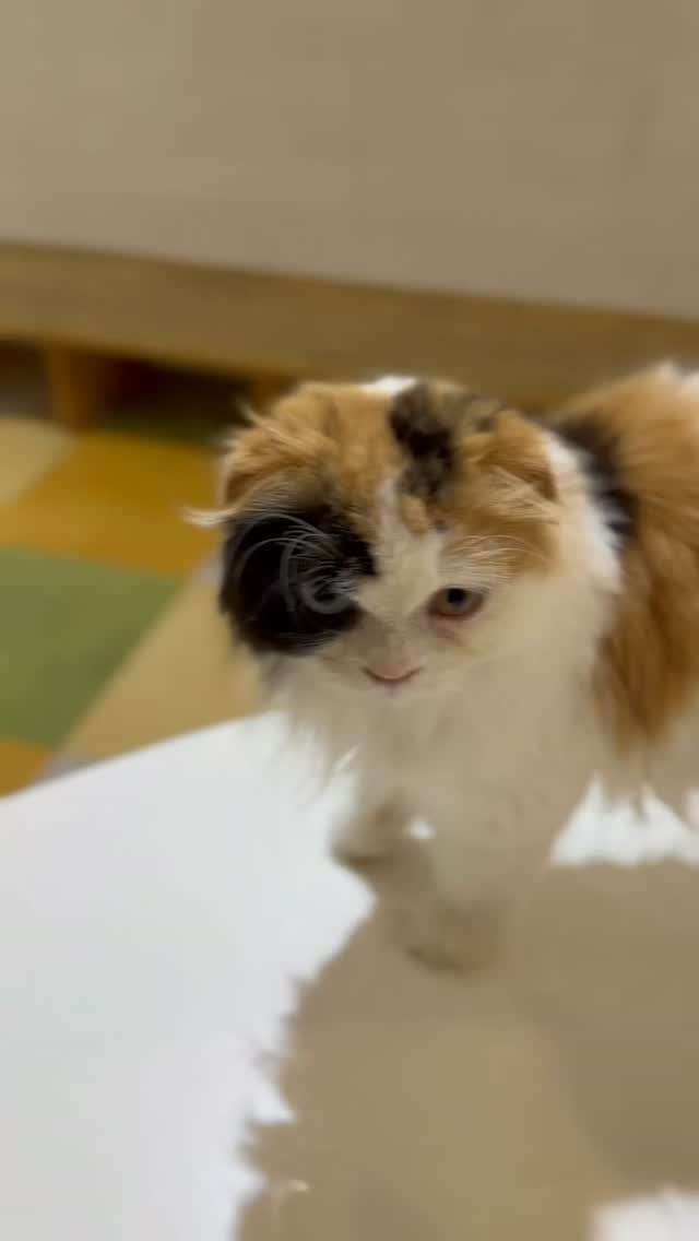 📢 おかえりなさい💕