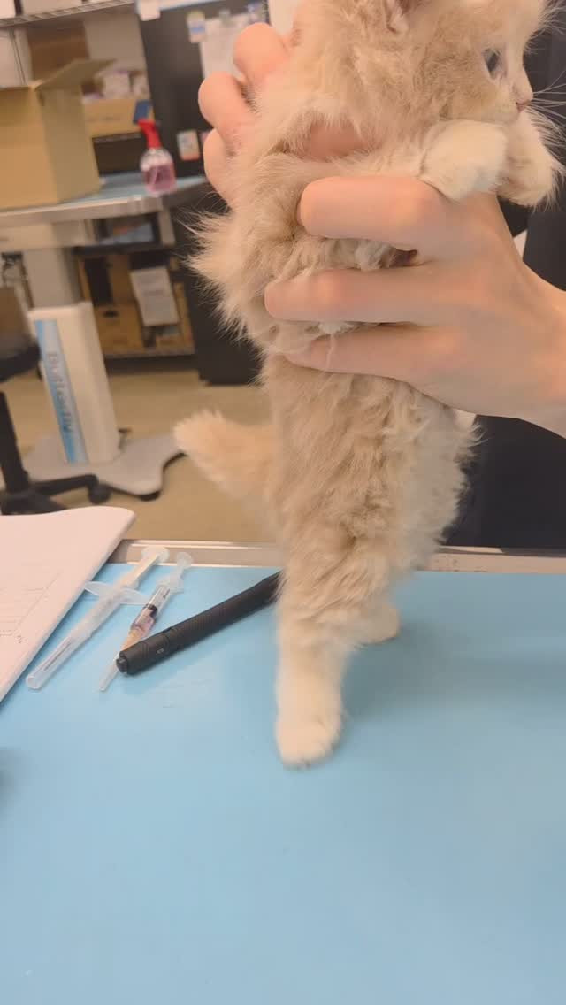 🐾今日は動物病院へ🏥